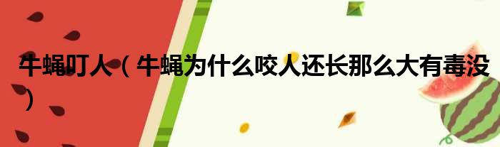 牛蝇叮人 牛蝇为什么咬人还长那么大有毒没