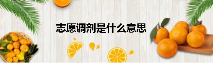 志愿调剂是什么意思