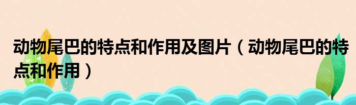 动物尾巴的特点和作用及图片 动物尾巴的特点和作用