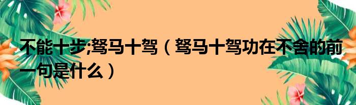 不能十步;驽马十驾 驽马十驾功在不舍的前一句是什么
