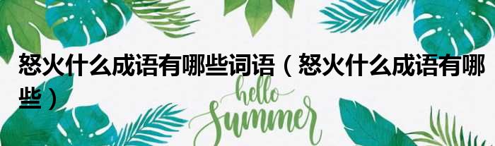 怒火什么成语有哪些词语 怒火什么成语有哪些