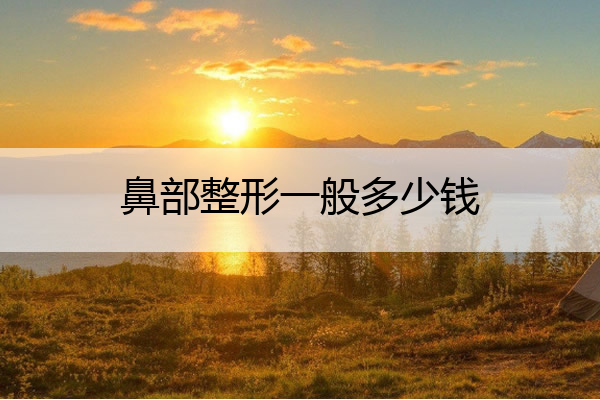 鼻部整形一般多少钱 鼻部整形一般多少钱啊