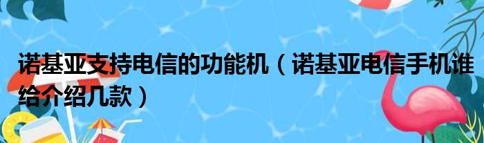 诺基亚支持电信的功能机 诺基亚电信手机谁给介绍几款