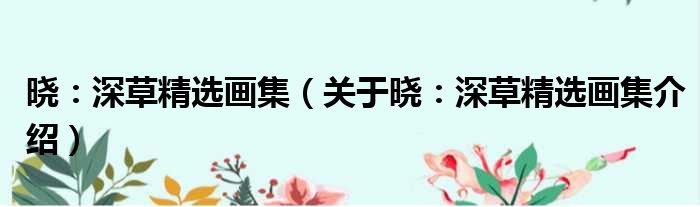 晓：深草精选画集 关于晓：深草精选画集介绍