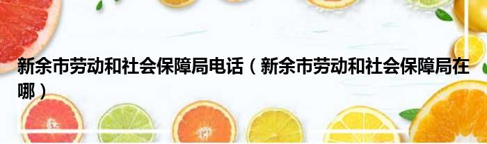 新余市劳动和社会保障局电话 新余市劳动和社会保障局在哪