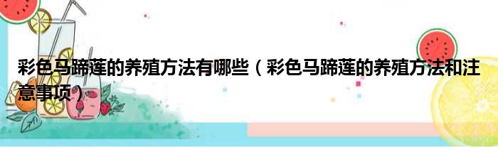 彩色马蹄莲的养殖方法有哪些 彩色马蹄莲的养殖方法和注意事项