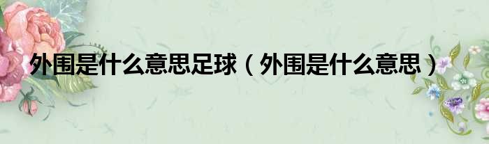 外围是什么意思足球 外围是什么意思