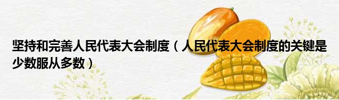 坚持和完善人民代表大会制度 人民代表大会制度的关键是少数服从多数