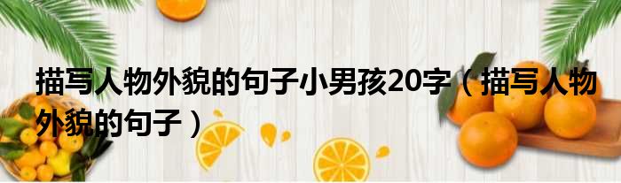 描写人物外貌的句子小男孩20字 描写人物外貌的句子