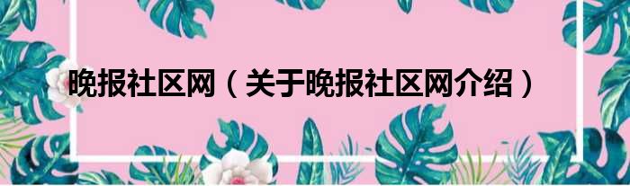 晚报社区网 关于晚报社区网介绍