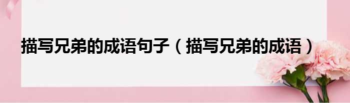 描写兄弟的成语句子 描写兄弟的成语