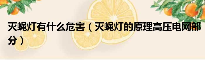 灭蝇灯有什么危害 灭蝇灯的原理高压电网部分