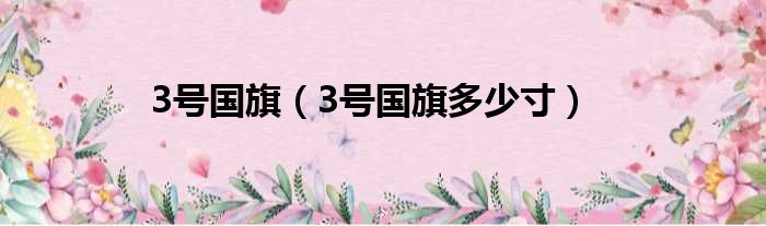 3号国旗 3号国旗多少寸