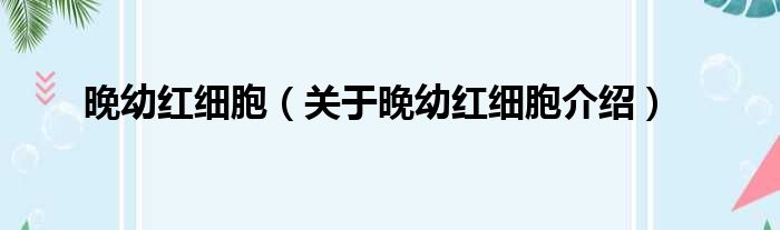 晚幼红细胞 关于晚幼红细胞介绍