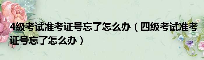 4级考试准考证号忘了怎么办 四级考试准考证号忘了怎么办