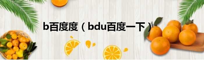 b百度度 bdu百度一下
