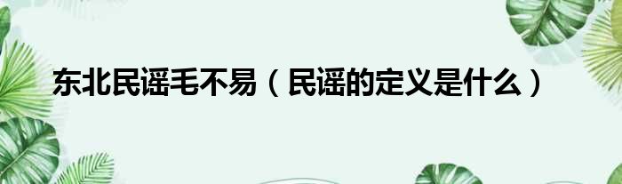 东北民谣毛不易 民谣的定义是什么