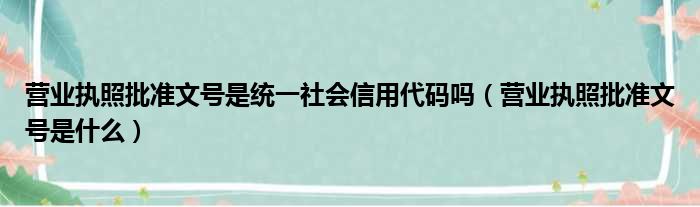 营业执照批准文号是统一社会信用代码吗 营业执照批准文号是什么