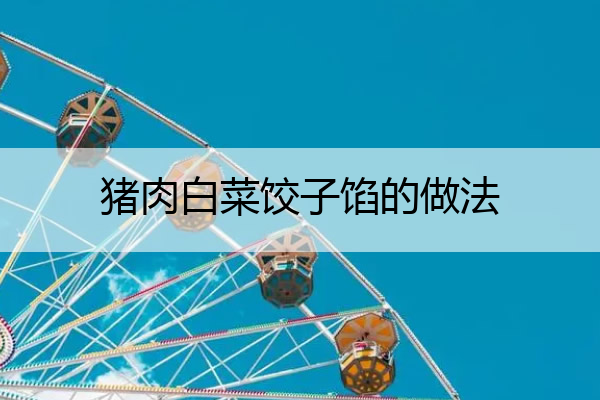 猪肉白菜饺子馅的做法 猪肉韭菜饺子馅怎么调最好吃