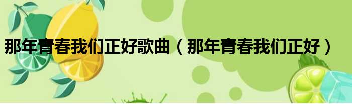 那年青春我们正好歌曲 那年青春我们正好