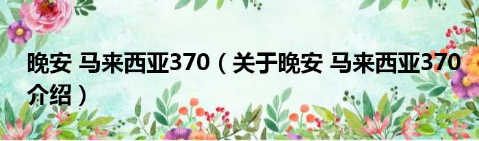 晚安 马来西亚370 关于晚安 马来西亚370介绍
