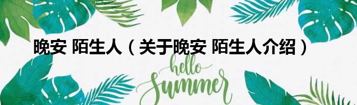 晚安 陌生人 关于晚安 陌生人介绍