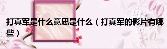 打真军是什么意思是什么 打真军的影片有哪些