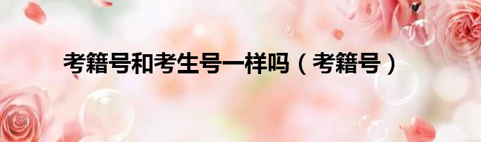 考籍号和考生号一样吗 考籍号