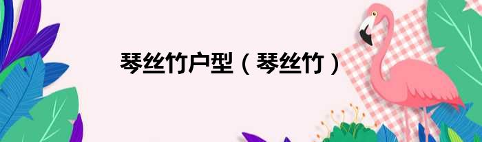 琴丝竹户型 琴丝竹