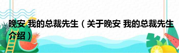 晚安 我的总裁先生 关于晚安 我的总裁先生介绍