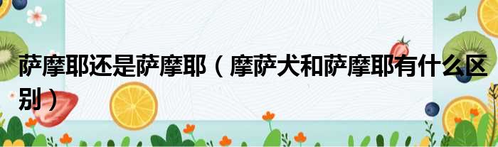 萨摩耶还是萨摩耶 摩萨犬和萨摩耶有什么区别