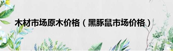木材市场原木价格 黑豚鼠市场价格