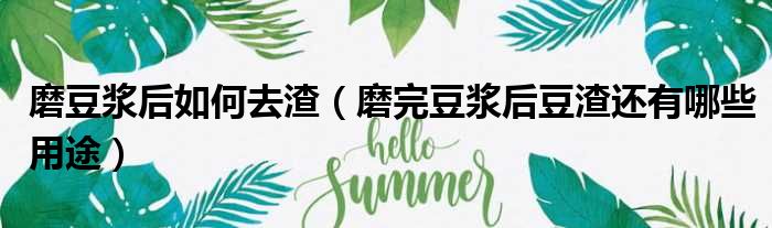 磨豆浆后如何去渣 磨完豆浆后豆渣还有哪些用途