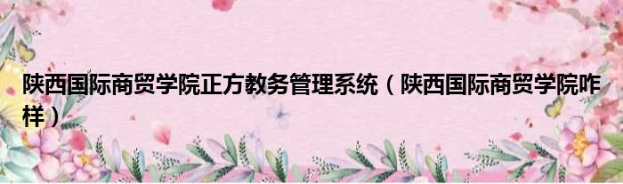 陕西国际商贸学院正方教务管理系统 陕西国际商贸学院咋样