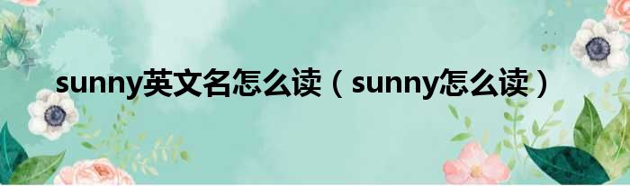 sunny英文名怎么读 sunny怎么读
