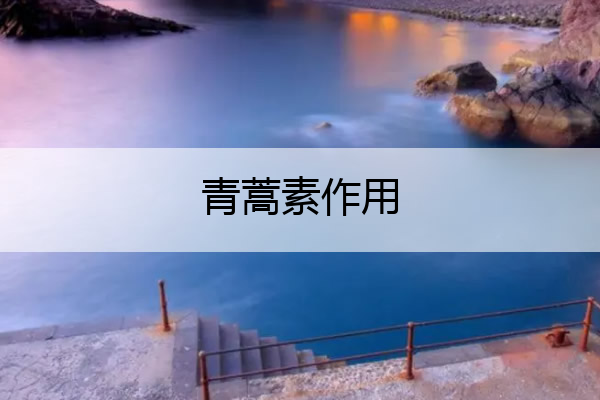 青蒿素作用 青蒿素作用治疗什么病