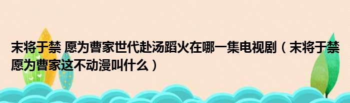 末将于禁 愿为曹家世代赴汤蹈火在哪一集电视剧 末将于禁愿为曹家这不动漫叫什么