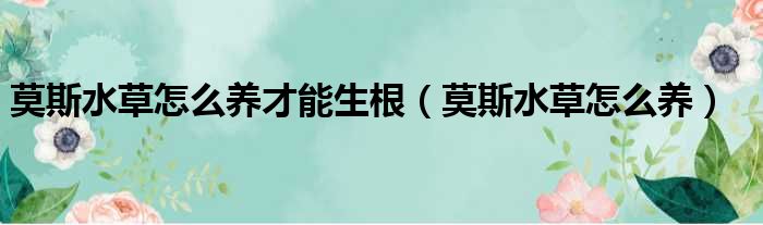 莫斯水草怎么养才能生根 莫斯水草怎么养