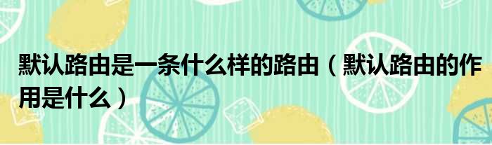 默认路由是一条什么样的路由 默认路由的作用是什么