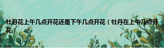 牡丹花上午几点开花还是下午几点开花 牡丹在上午几点开花