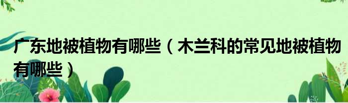 广东地被植物有哪些 木兰科的常见地被植物有哪些