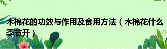 木棉花的功效与作用及食用方法 木棉花什么季节开