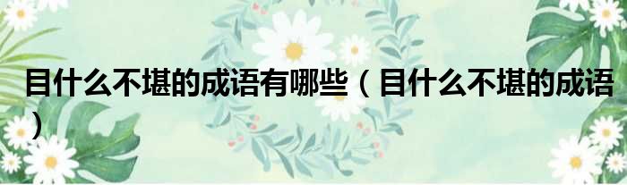 目什么不堪的成语有哪些 目什么不堪的成语