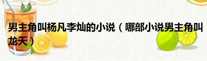 男主角叫杨凡李灿的小说 哪部小说男主角叫龙天