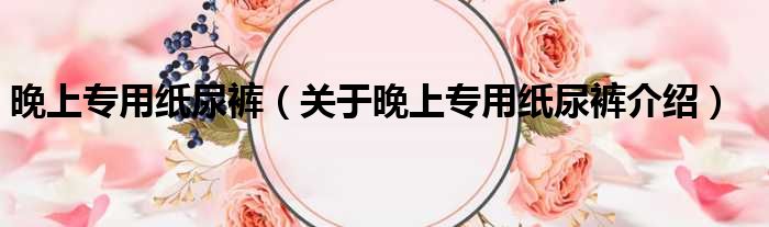 晚上专用纸尿裤 关于晚上专用纸尿裤介绍