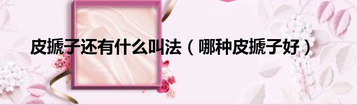 皮搋子还有什么叫法 哪种皮搋子好