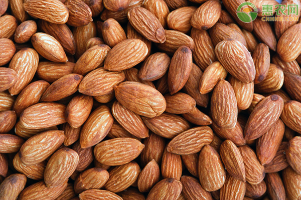 吃杏仁禁忌跟什么一起吃 一天吃多少合适