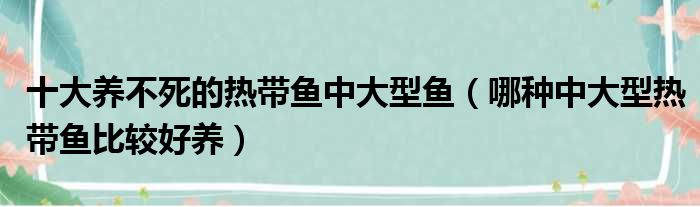 十大养不死的热带鱼中大型鱼 哪种中大型热带鱼比较好养