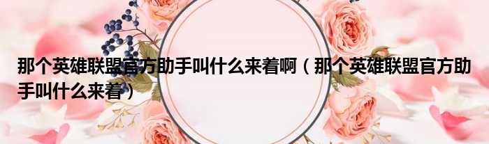 那个英雄联盟官方助手叫什么来着啊 那个英雄联盟官方助手叫什么来着