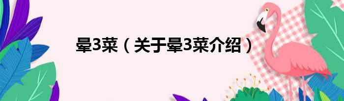 晕3菜 关于晕3菜介绍